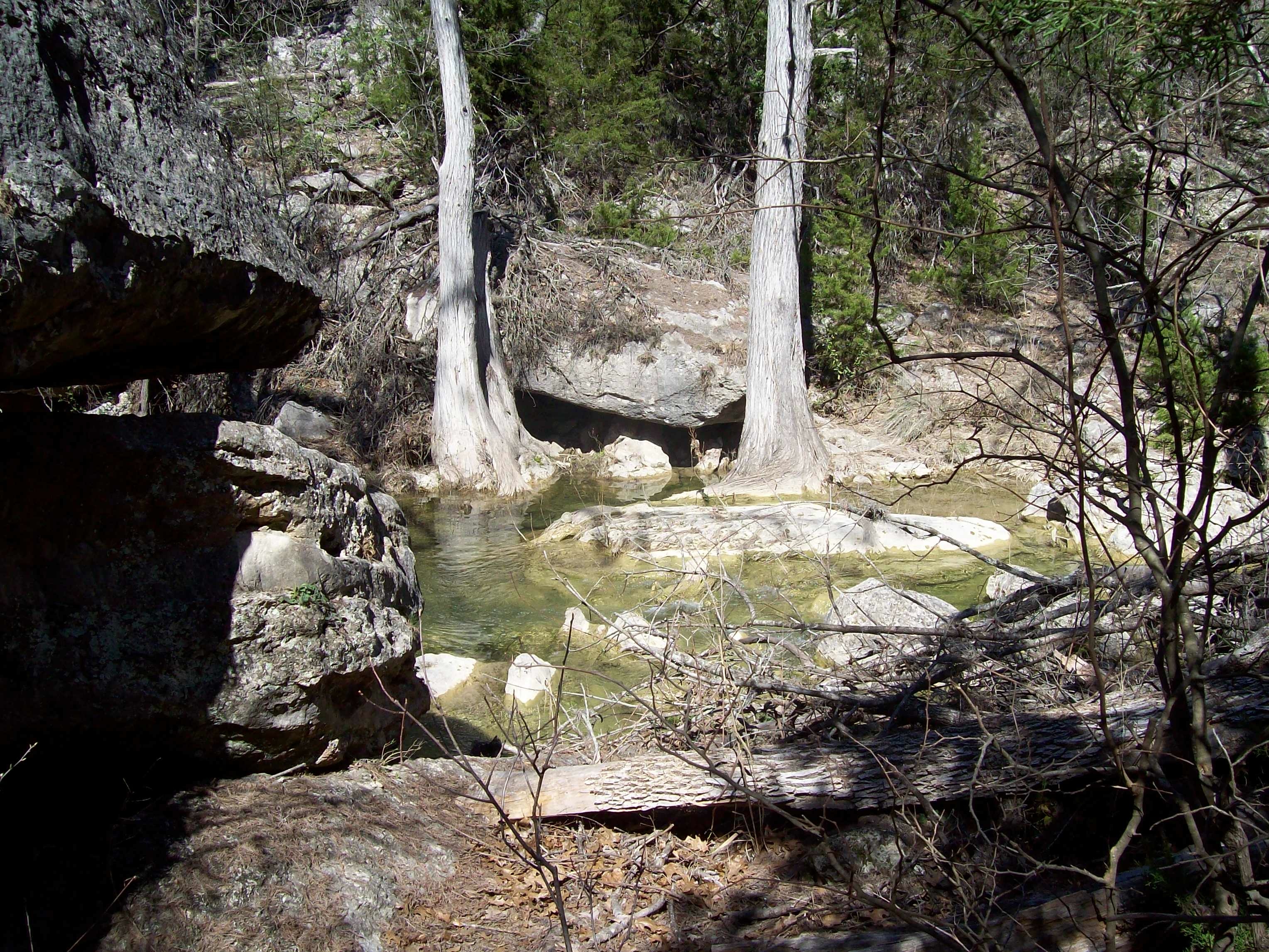 2010-03-12-Hamilton Pool-01.jpg